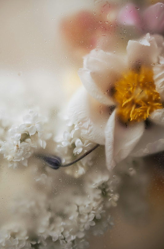 Floral Mist 50 ml Perfume Oil Dropper