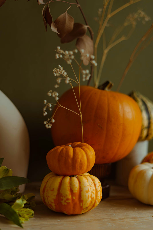 Pumpkin Coconut 12 oz scented candle