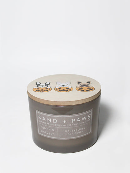 Sand + Paws Pumpkin Harvest 12 oz scented candle