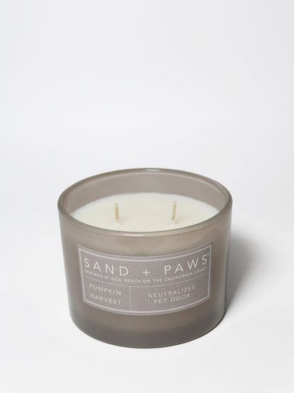 Sand + Paws Pumpkin Harvest 12 oz scented candle