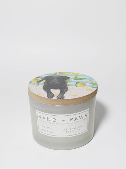 Sand + Paws Tropical Citrus 12 oz scented candle