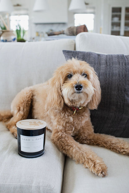 Sand + Paws Teakwood 21 oz scented candle