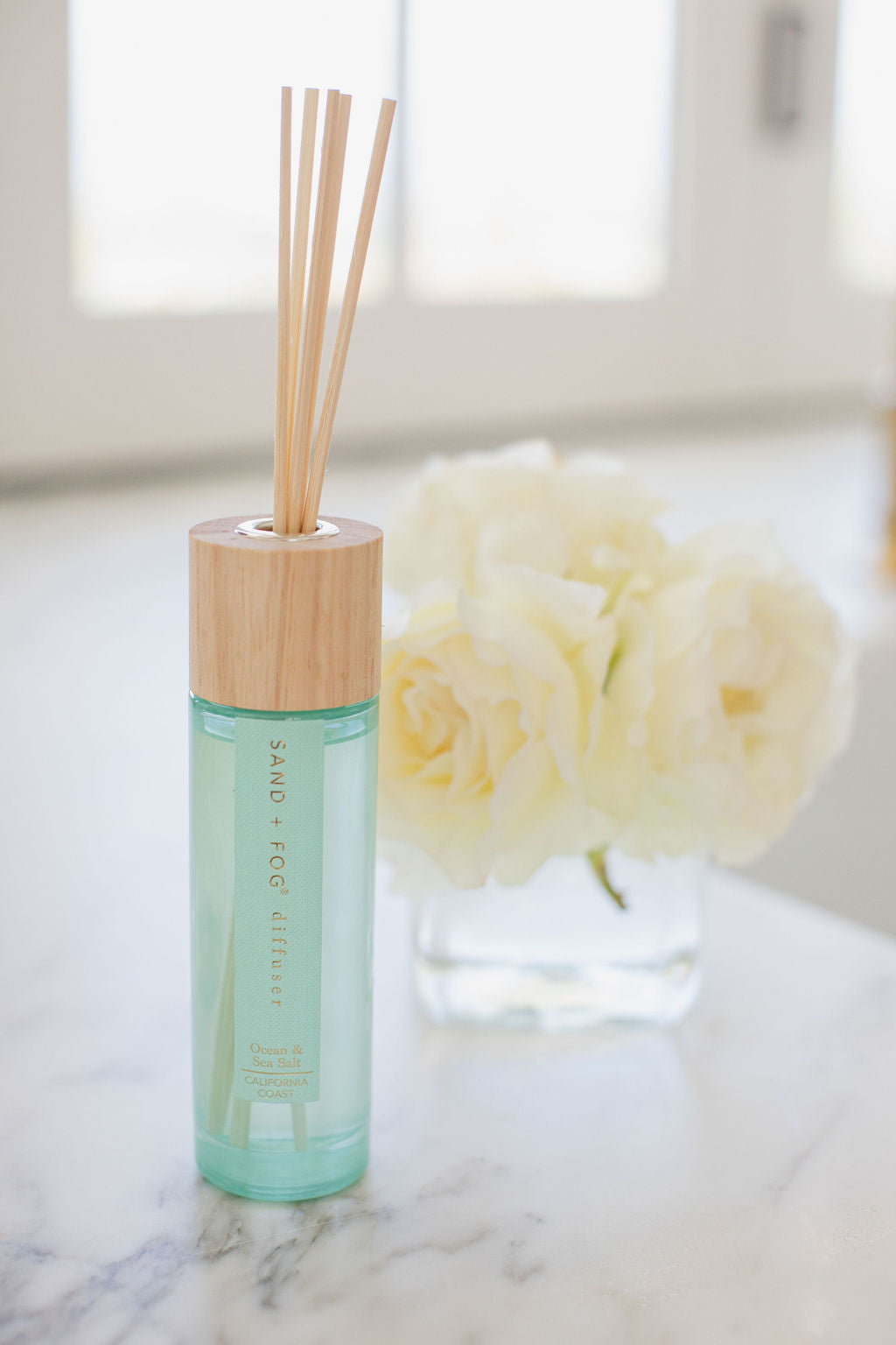 Ocean & Sea Salt 100 ml Reed Diffuser