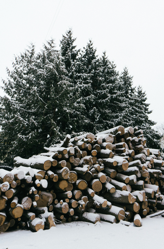 Firewood & Silver Fir 6 oz scented candle